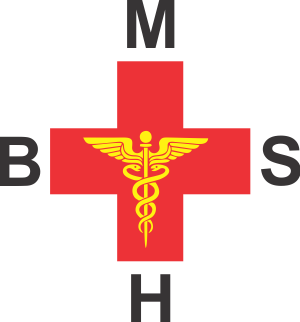 Bombay Maternity and Surgical Hospital